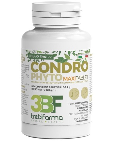 CONDROPHYTO 60CPR 2G