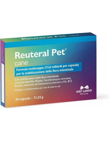 REUTERAL PET CANE 30CPS