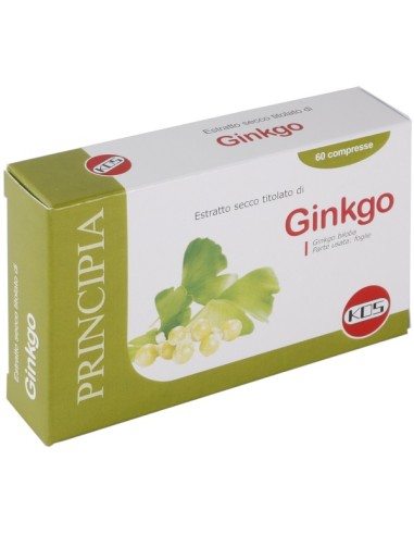 GINKGO BILOBA ES 60CPR