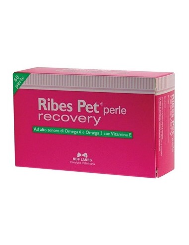 RIBES PET RECOVERY 60PRL