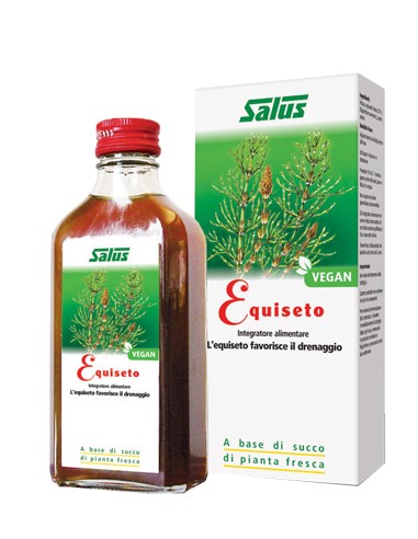 EQUISETO SUCCO 200ML BIO