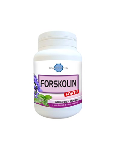 FORSKOLIN FORTE 60CPS