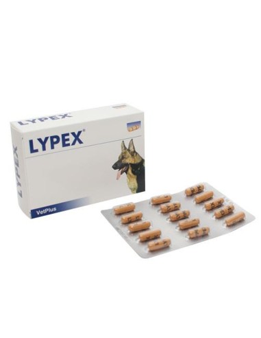 LYPEX 60CPS