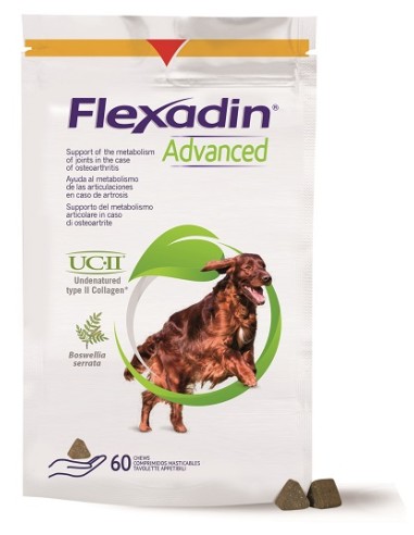 FLEXADIN ADVANCED 60TAV MASTIC