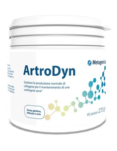 ARTRODYN 60 PORZIONI 275G