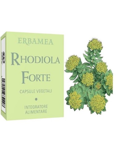 RHODIOLA FORTE 24CPS